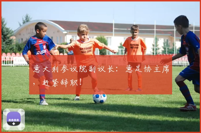 意大利参议院副议长：意足协主席，赶紧辞职！
