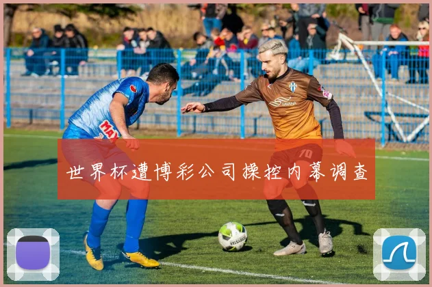 世界杯遭博彩公司操控内幕调查