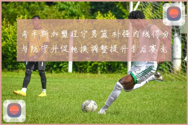 考辛斯加盟辽宁男篮 补强内线得分与防守并促轮换调整提升季后赛竞争力