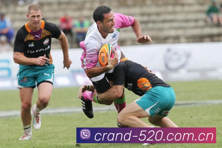 华体app官网登录入口APP 体育赛事宣传图